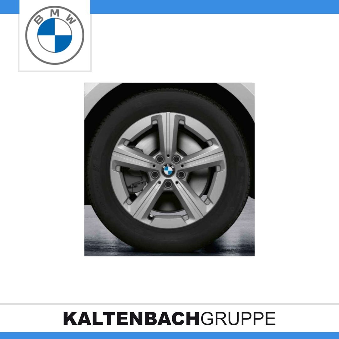 Sternspeiche 875-1.jpg